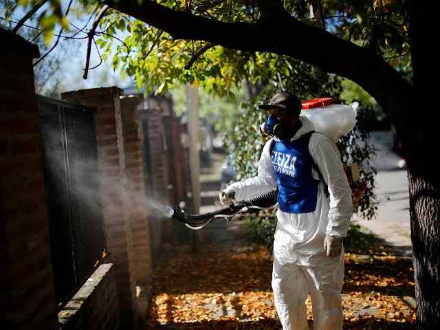 301 los muertos por el brote de dengue en Argentina